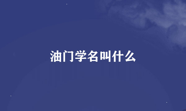 油门学名叫什么