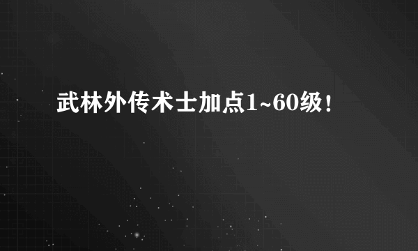 武林外传术士加点1~60级！