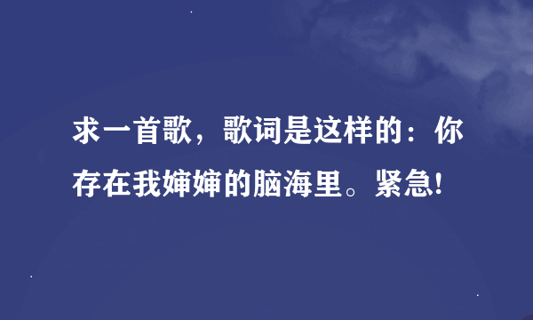 求一首歌，歌词是这样的：你存在我婶婶的脑海里。紧急!