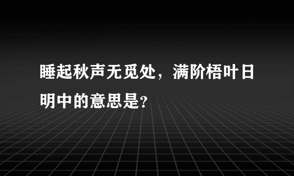 睡起秋声无觅处，满阶梧叶日明中的意思是？