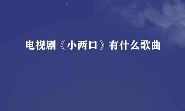 电视剧《小两口》有什么歌曲