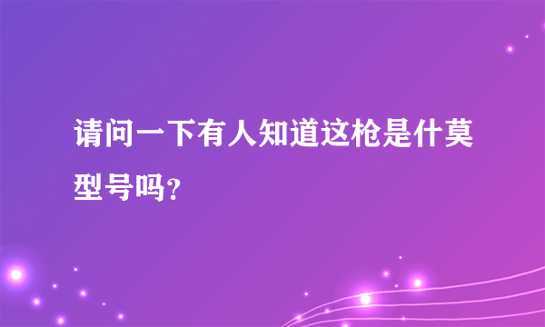 请问一下有人知道这枪是什莫型号吗？