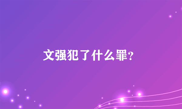 文强犯了什么罪？