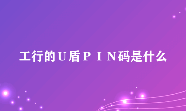 工行的Ｕ盾ＰＩＮ码是什么