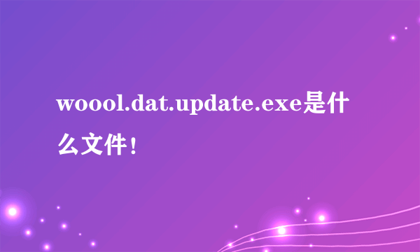 woool.dat.update.exe是什么文件！