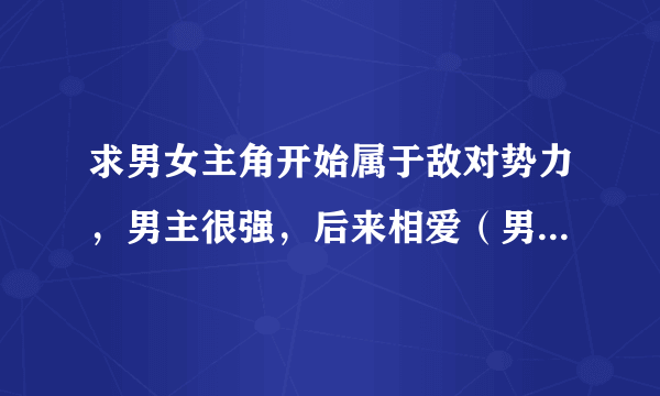 求男女主角开始属于敌对势力，男主很强，后来相爱（男主先爱上女主）最后一起对抗敌人的小说，电视剧也行