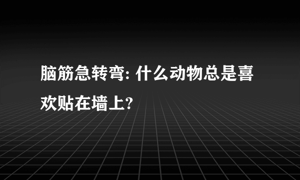 脑筋急转弯: 什么动物总是喜欢贴在墙上?