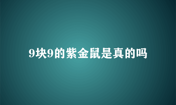 9块9的紫金鼠是真的吗