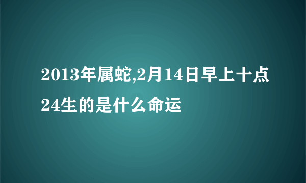 2013年属蛇,2月14日早上十点24生的是什么命运