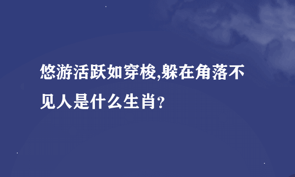 悠游活跃如穿梭,躲在角落不见人是什么生肖？