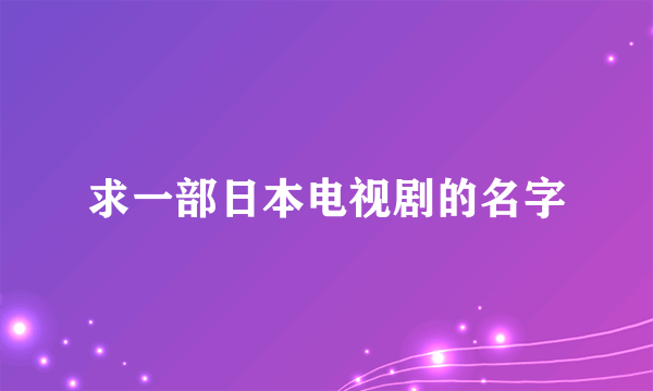 求一部日本电视剧的名字