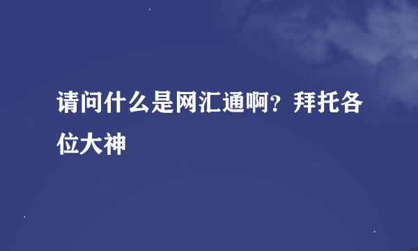 请问什么是网汇通啊？拜托各位大神