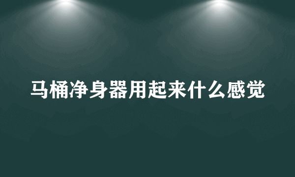 马桶净身器用起来什么感觉