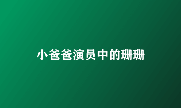 小爸爸演员中的珊珊