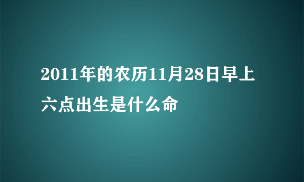 2011年的农历11月28日早上六点出生是什么命