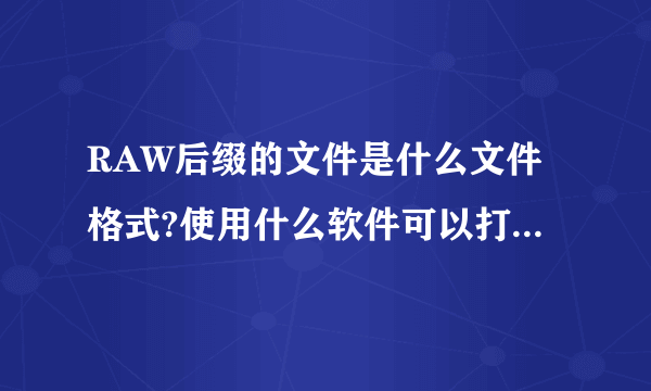 RAW后缀的文件是什么文件格式?使用什么软件可以打开这样格式的文件?