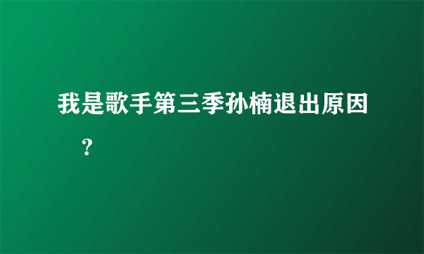 我是歌手第三季孙楠退出原因 ？