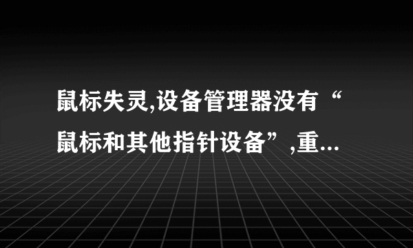 鼠标失灵,设备管理器没有“鼠标和其他指针设备”,重装系统也没有