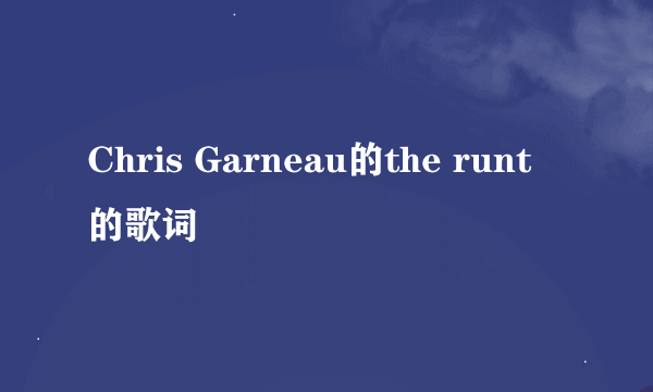 Chris Garneau的the runt 的歌词