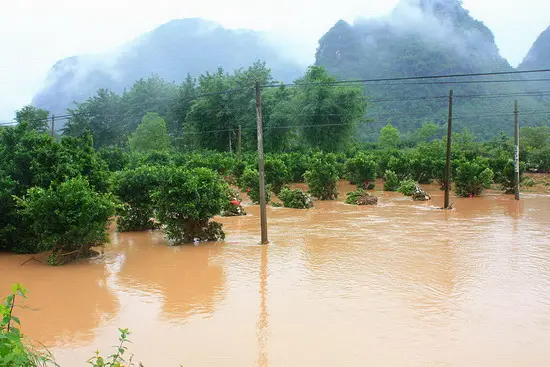 南方强降雨形成的原因和影响是什么？应采取怎样的防治措施？