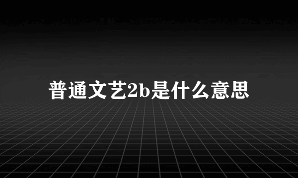 普通文艺2b是什么意思