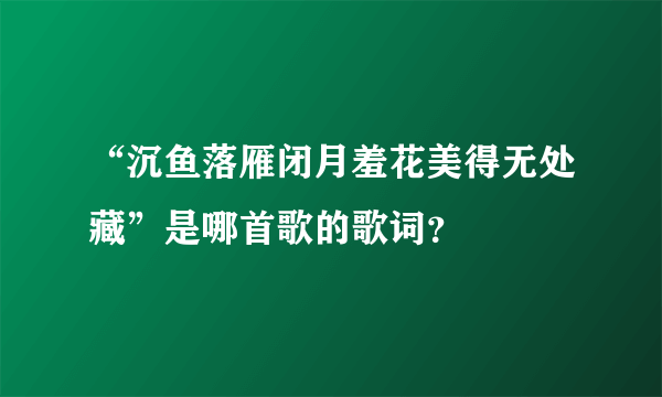 “沉鱼落雁闭月羞花美得无处藏”是哪首歌的歌词？