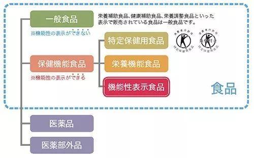 2. 食品标签中的食品类别是消费者定义还是生产者定义？