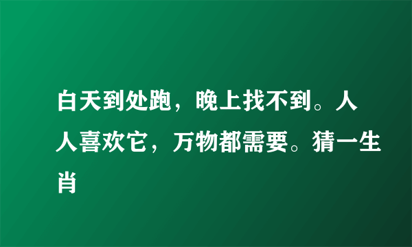 白天到处跑，晚上找不到。人人喜欢它，万物都需要。猜一生肖