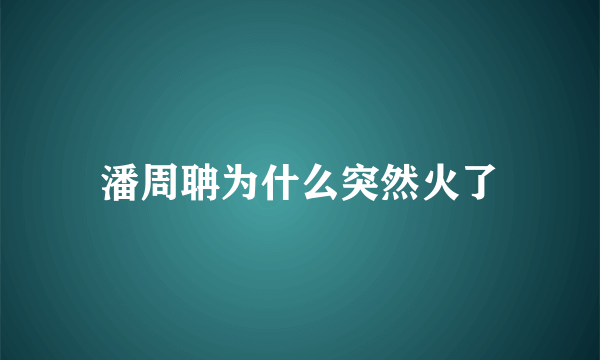 潘周聃为什么突然火了