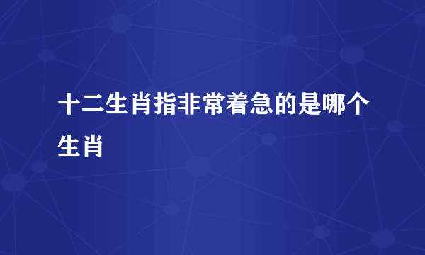 十二生肖指非常着急的是哪个生肖