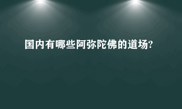 国内有哪些阿弥陀佛的道场?