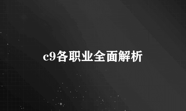 c9各职业全面解析