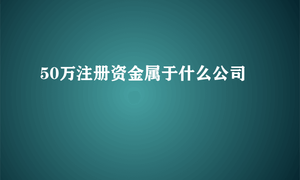 50万注册资金属于什么公司