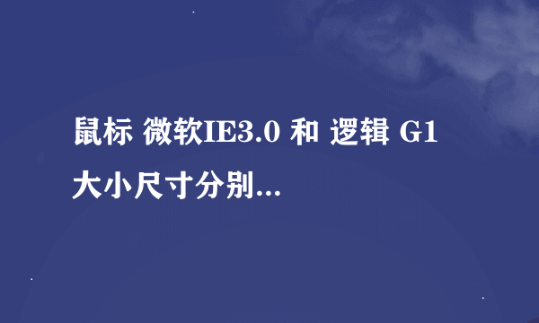 鼠标 微软IE3.0 和 逻辑 G1 大小尺寸分别是多少 要官方数据