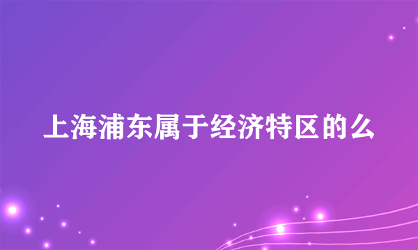 上海浦东属于经济特区的么