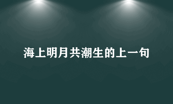 海上明月共潮生的上一句