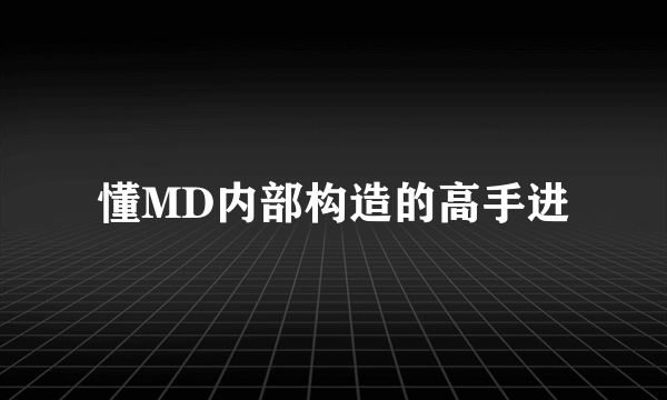 懂MD内部构造的高手进