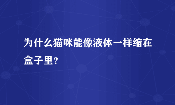 为什么猫咪能像液体一样缩在盒子里？