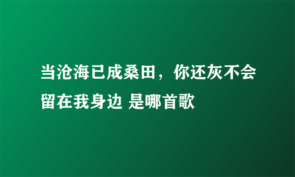 当沧海已成桑田，你还灰不会留在我身边 是哪首歌