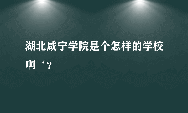 湖北咸宁学院是个怎样的学校啊‘？