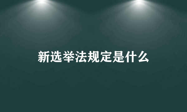 新选举法规定是什么