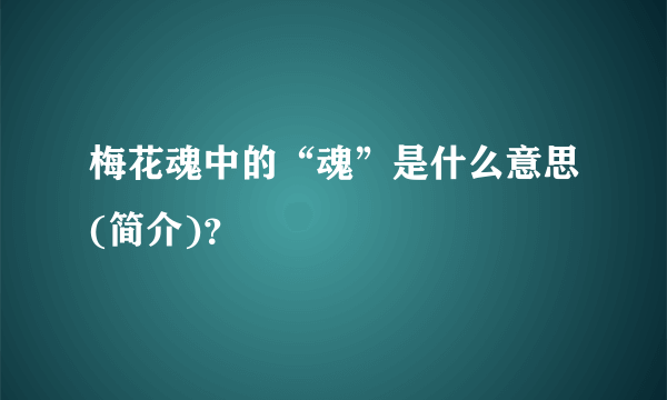 梅花魂中的“魂”是什么意思(简介)？