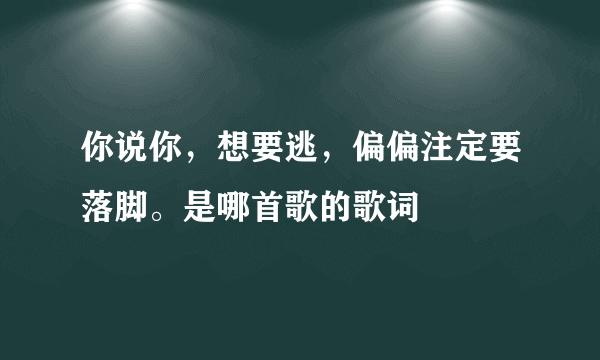 你说你，想要逃，偏偏注定要落脚。是哪首歌的歌词