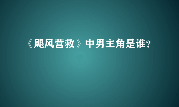 《飓风营救》中男主角是谁？