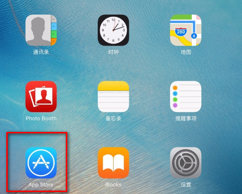 ipad下载不了软件