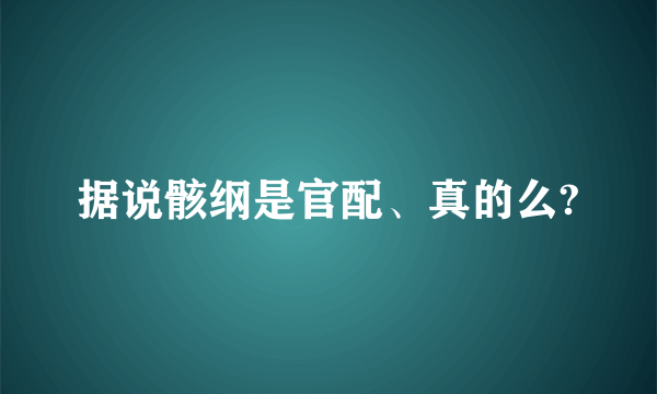 据说骸纲是官配、真的么?