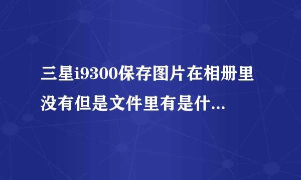 三星i9300保存图片在相册里没有但是文件里有是什么情况？