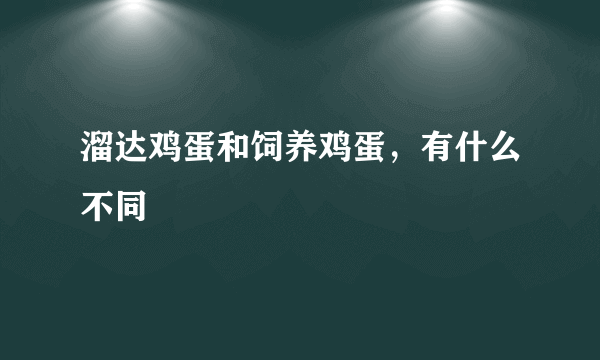 溜达鸡蛋和饲养鸡蛋，有什么不同