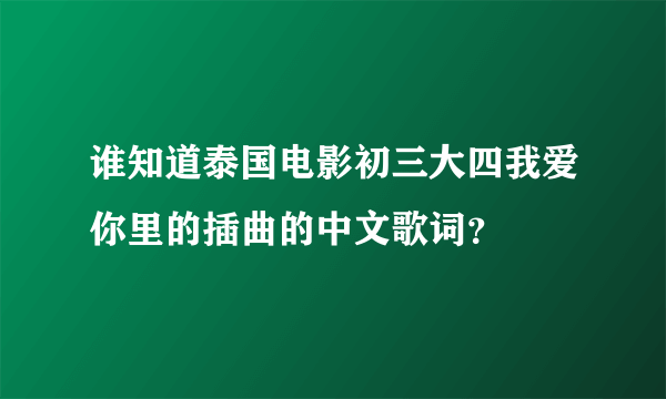 谁知道泰国电影初三大四我爱你里的插曲的中文歌词？