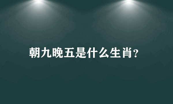 朝九晚五是什么生肖？